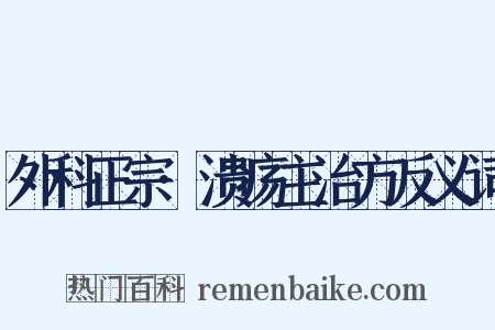 外科正宗·溃疡主治方反义词是什么意思的图片